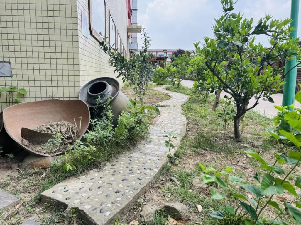 劳有所获,学有所得⑦——金堂县官仓幼儿园田园课程与劳动育人的同频共振